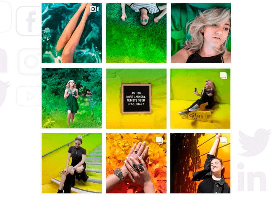 Feed de colores